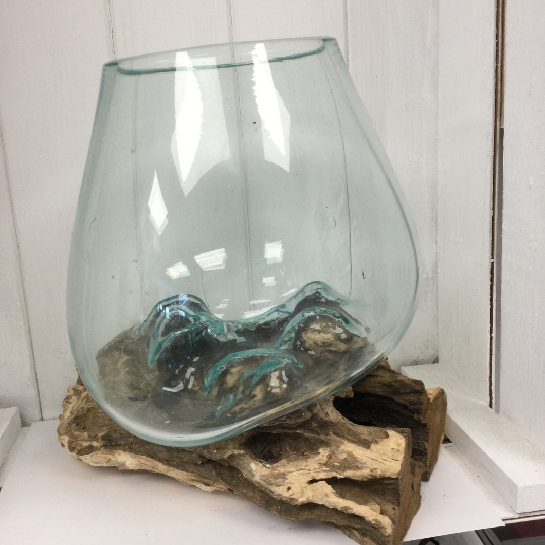 Root with glass bowl: Medium