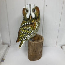 Load image into Gallery viewer, Tawny Owl
