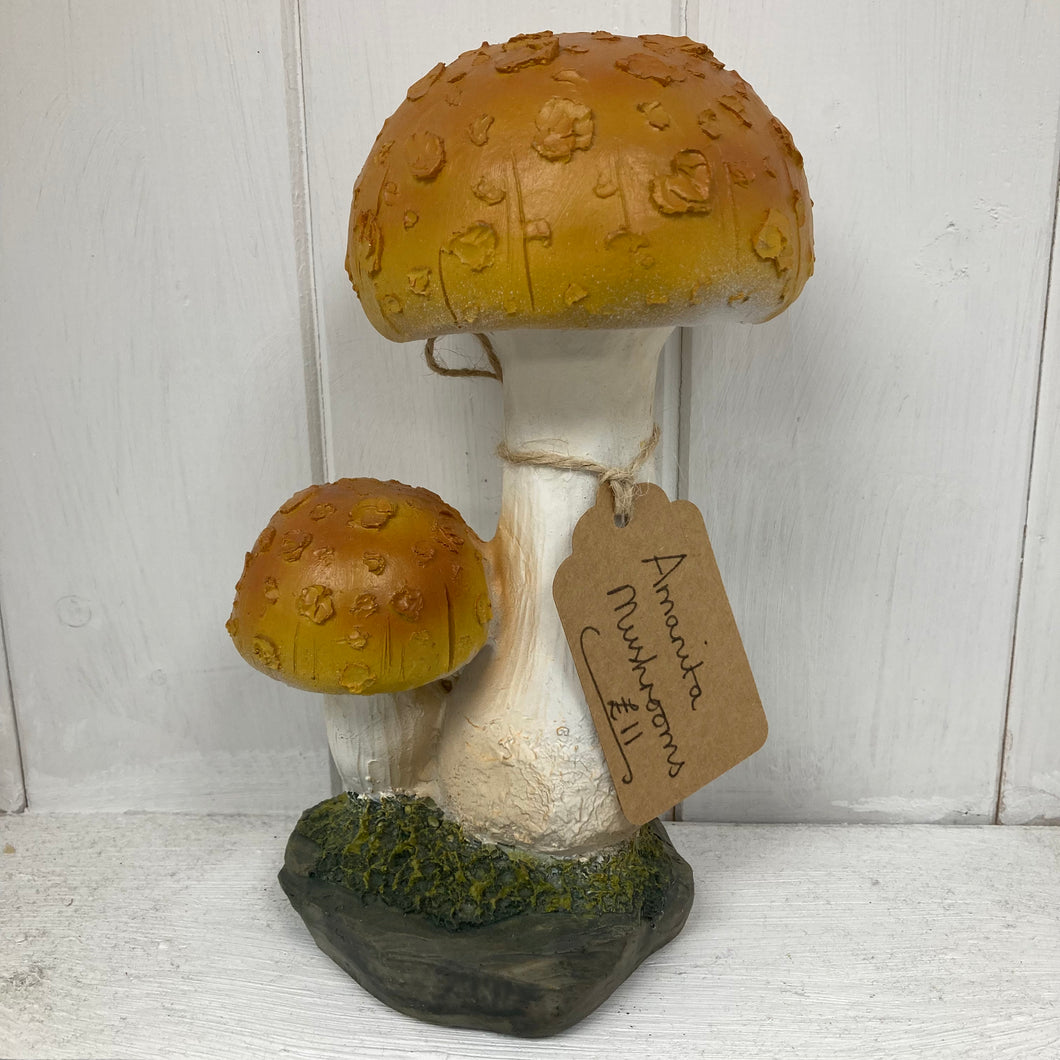 Amanita Paddestoel