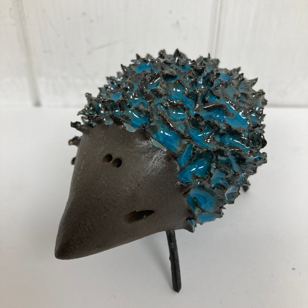 Spiky Hedgehog