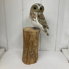 Load image into Gallery viewer, Little Owl
