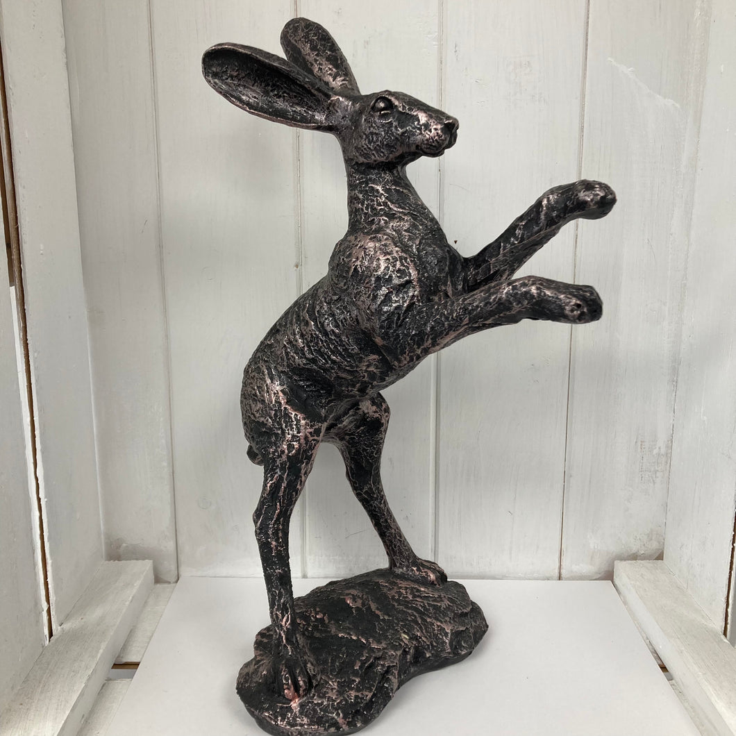 Boxing Hares