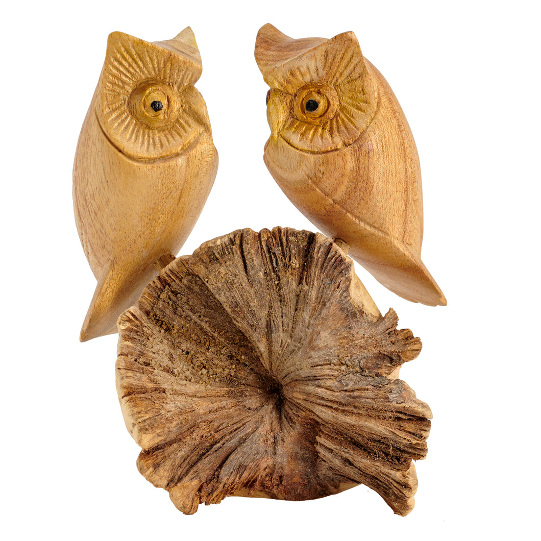 Double Owls on parasite branch