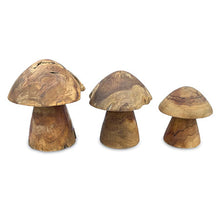 Load image into Gallery viewer, Teak Root Mushrooms (available in 3 sizes)
