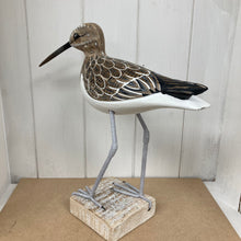 Load image into Gallery viewer, Sandpiper Walking
