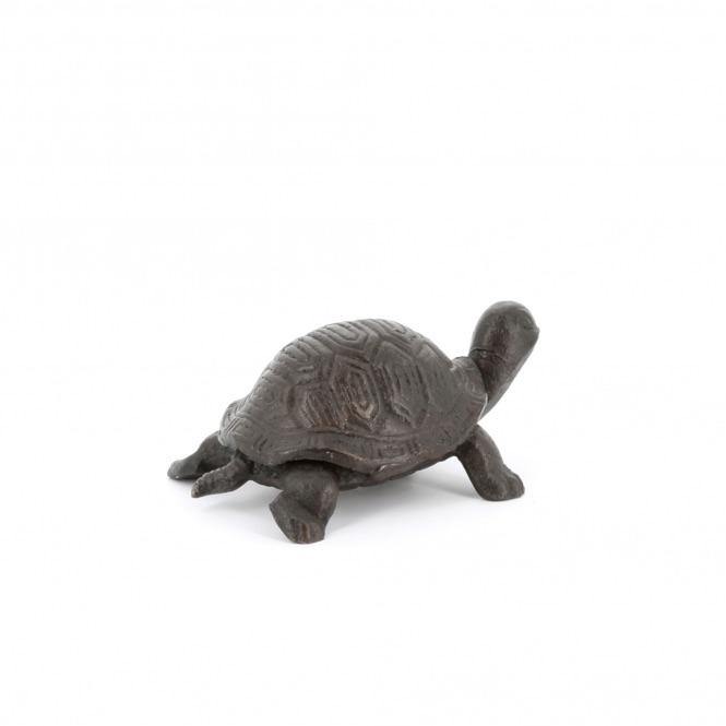 Cast Iron Tortoise – The Coast Office