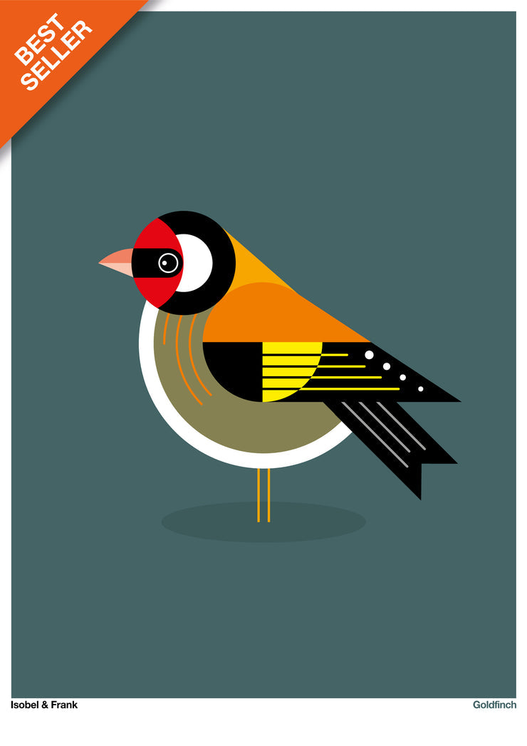 Goldfinch Framed 30 x 40cm Print