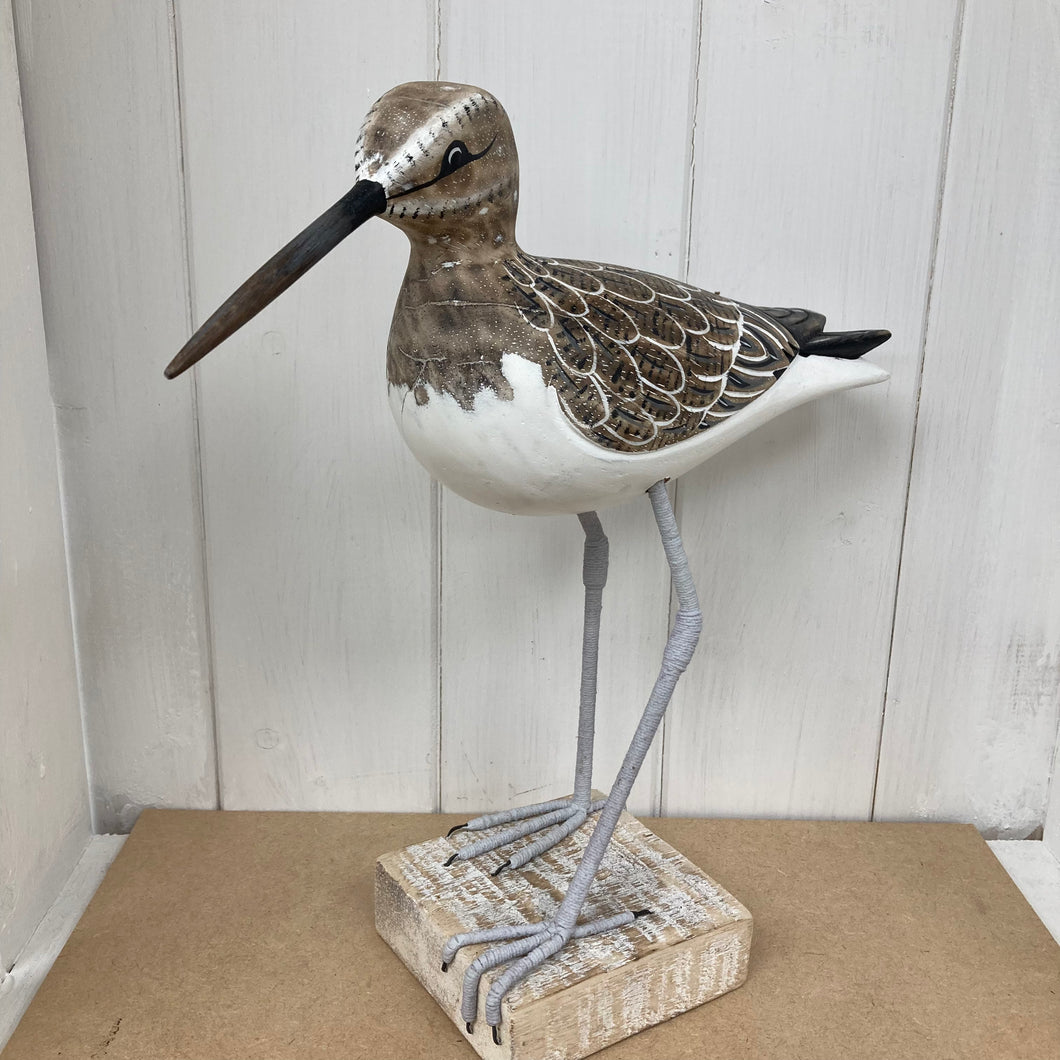 Sandpiper Walking