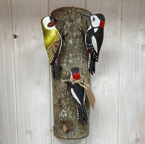 Hanging Green & Spotted Woodpeckers - The Coast Office